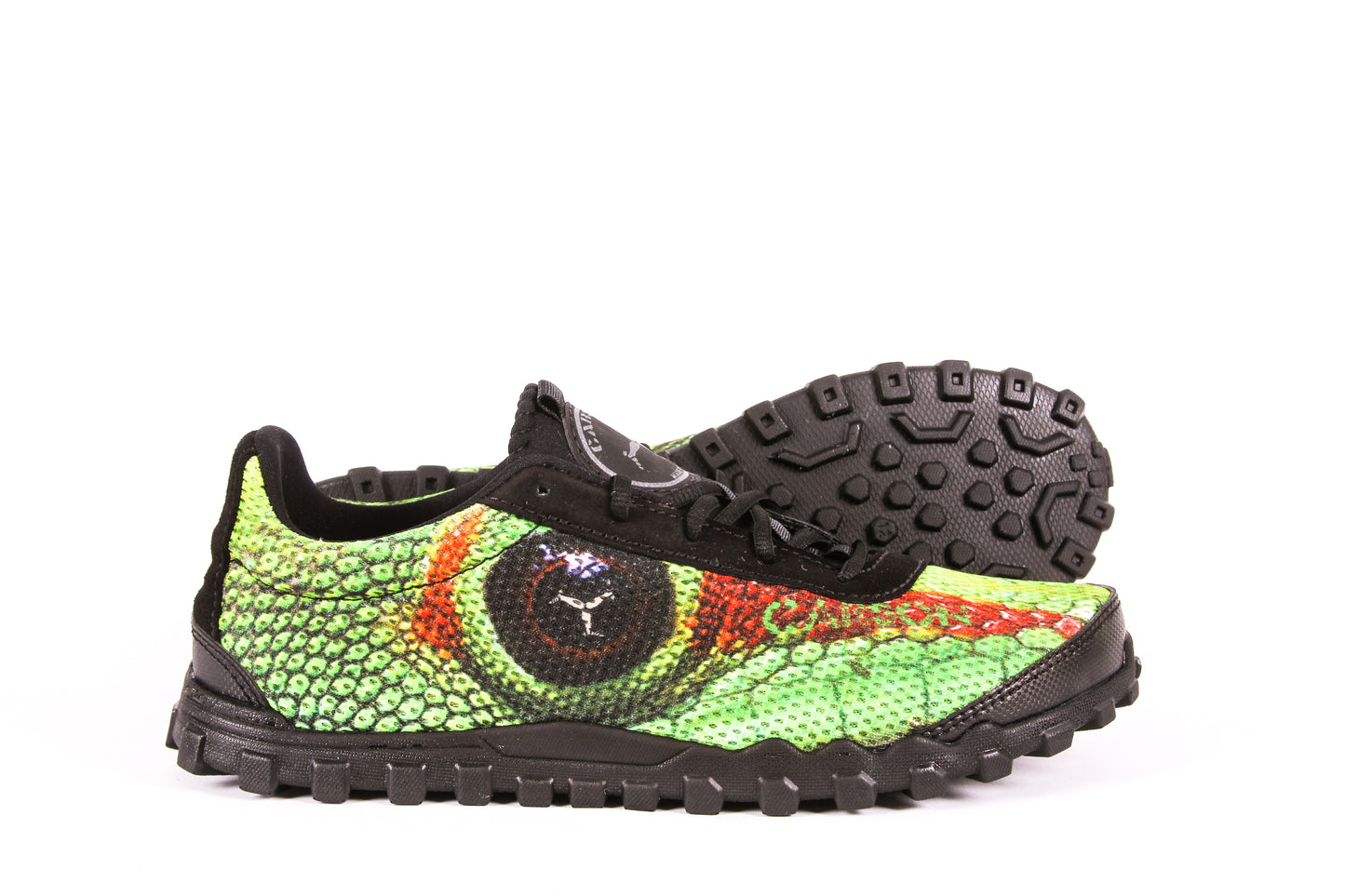 Iguana Racer