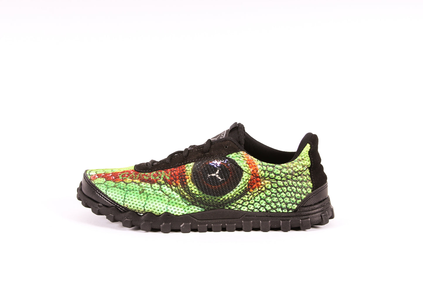 Iguana Racer